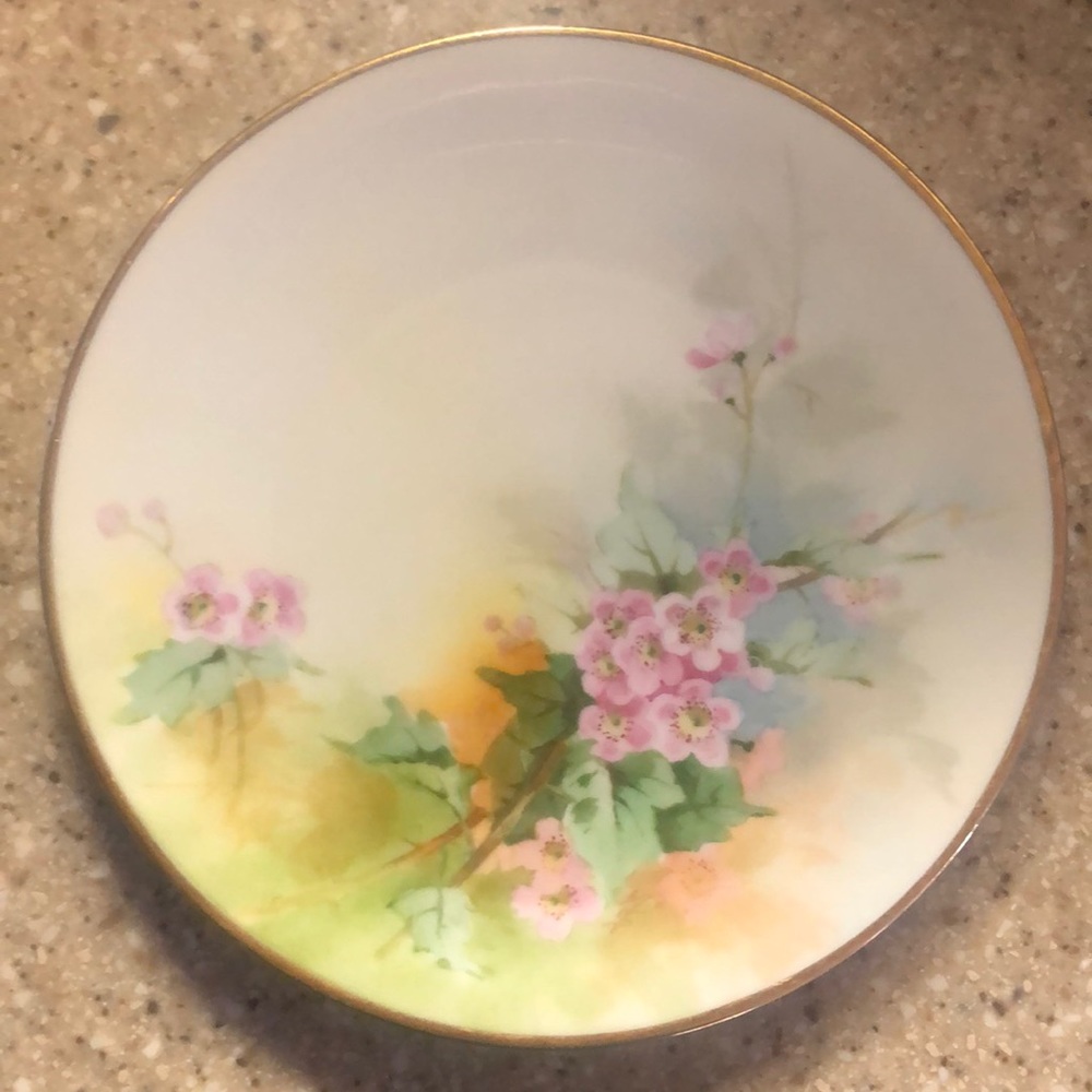 Jul H‎ Brauer Hand painted plate